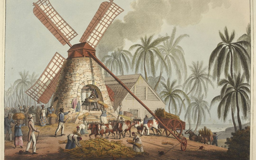Matthew Lewis describes the process of making sugar