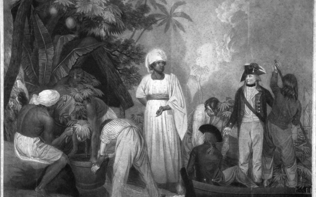 Bligh and the breadfruit: the role of botany in Empire