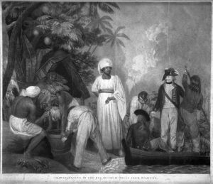 Bligh and the breadfruit: the role of botany in Empire